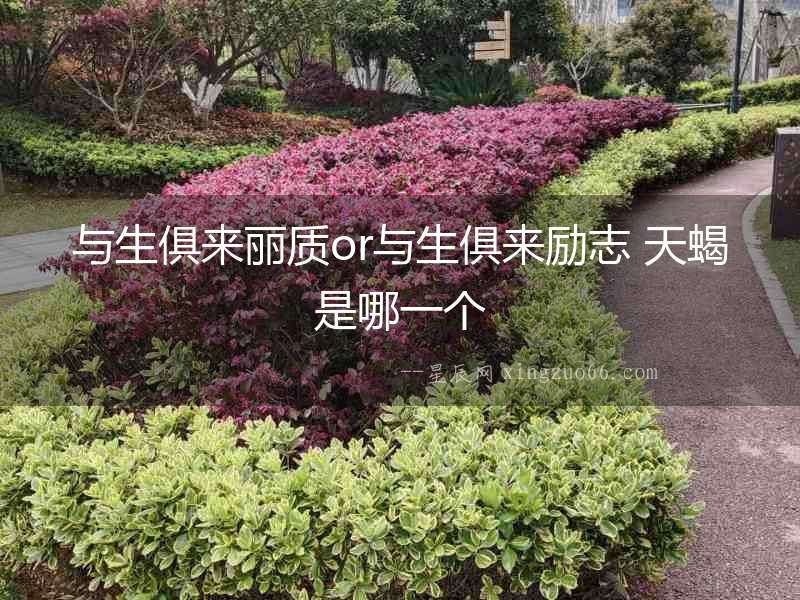 與生俱來麗質or與生俱來勵志 天蝎是哪一個