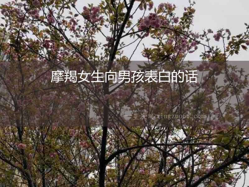 摩羯女生向男孩表白的話