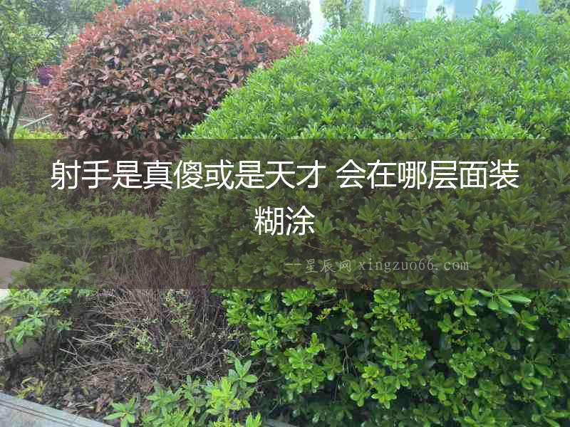 射手是真傻或是天才 會在哪層面裝糊涂