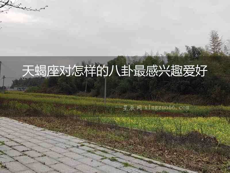天蝎座對怎樣的八卦最感興趣愛好