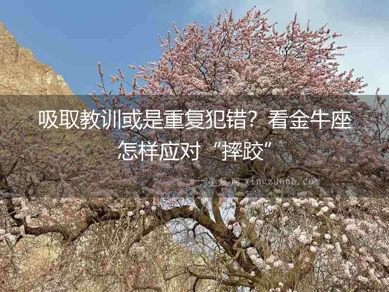 吸取教訓或是重復犯錯？看金牛座怎樣應對“摔跤”