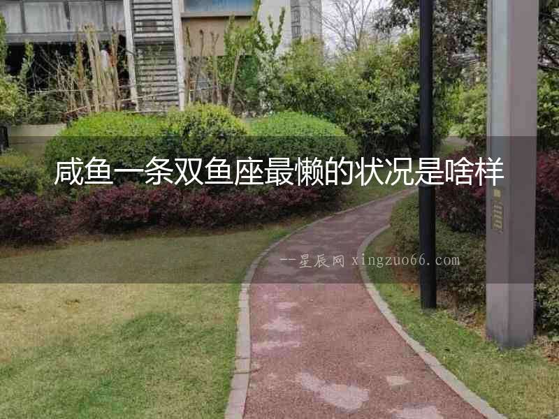咸魚一條雙魚座最懶的狀況是啥樣