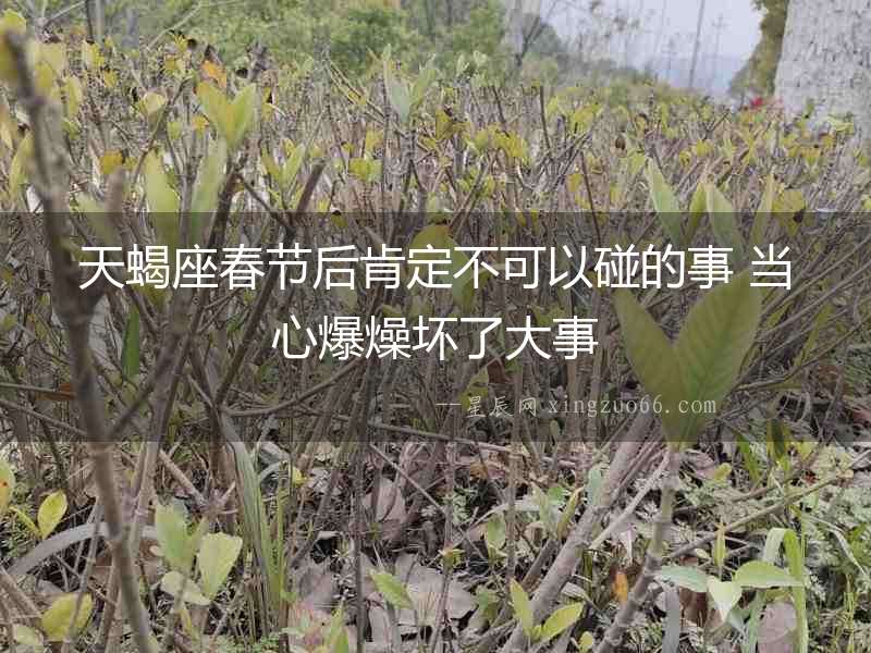 天蝎座春節后肯定不可以碰的事 當心爆燥壞了大事