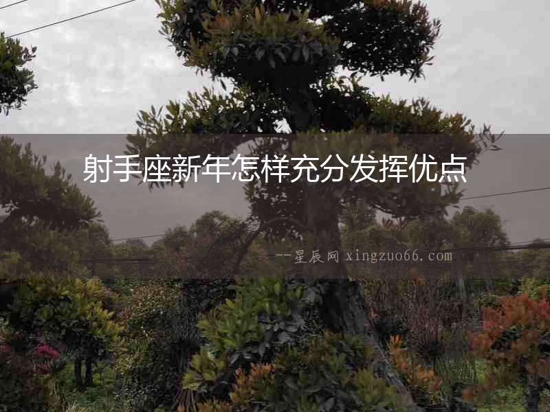 射手座新年怎樣充分發(fā)揮優(yōu)點(diǎn)