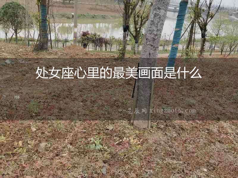 處女座心里的最美畫(huà)面是什么