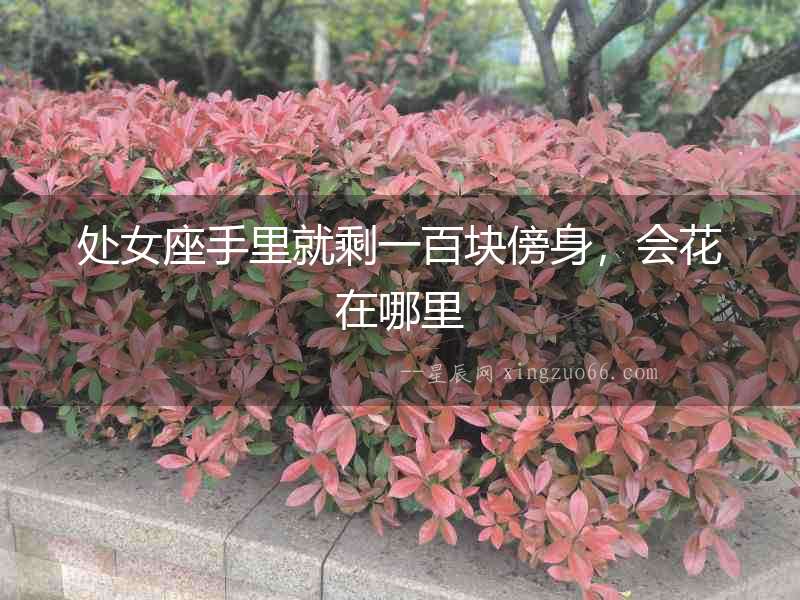 處女座手里就剩一百塊傍身，會花在哪里