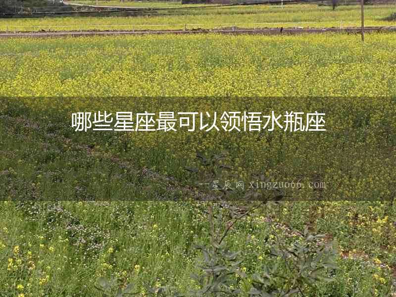 哪些星座最可以領(lǐng)悟水瓶座