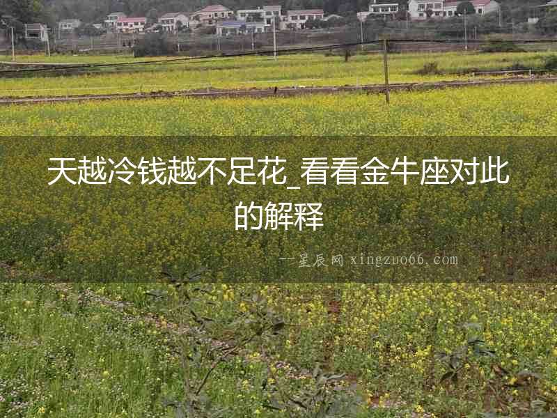天越冷錢越不足花_看看金牛座對此的解釋