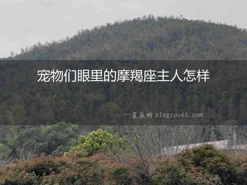 寵物們眼里的摩羯座主人怎樣