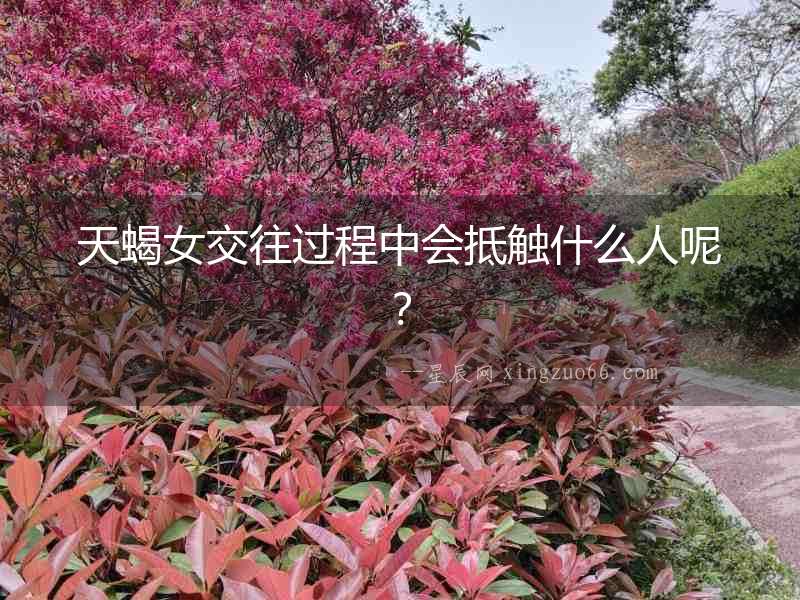 天蝎女交往過程中會(huì)抵觸什么人呢？