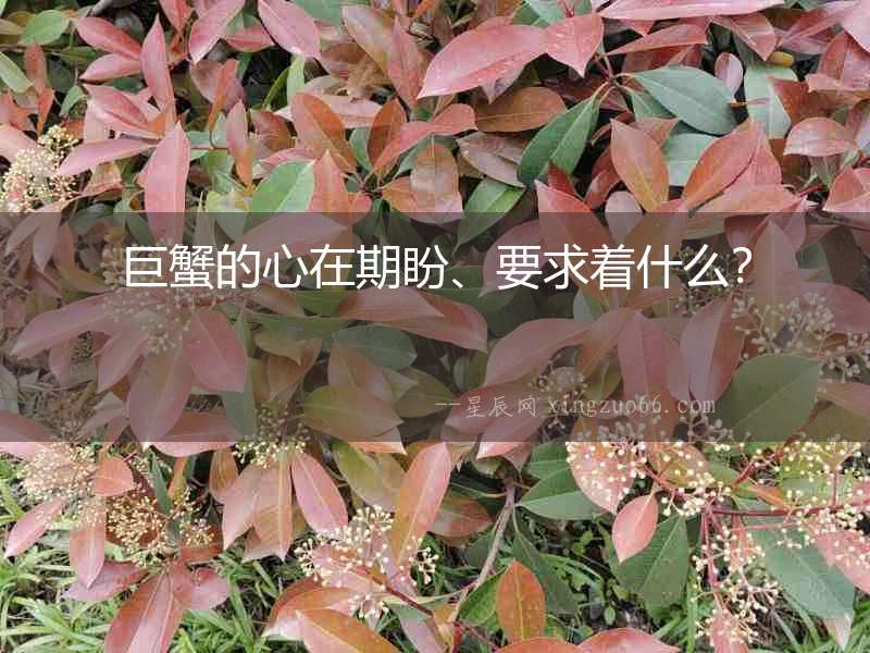 巨蟹的心在期盼、要求著什么？