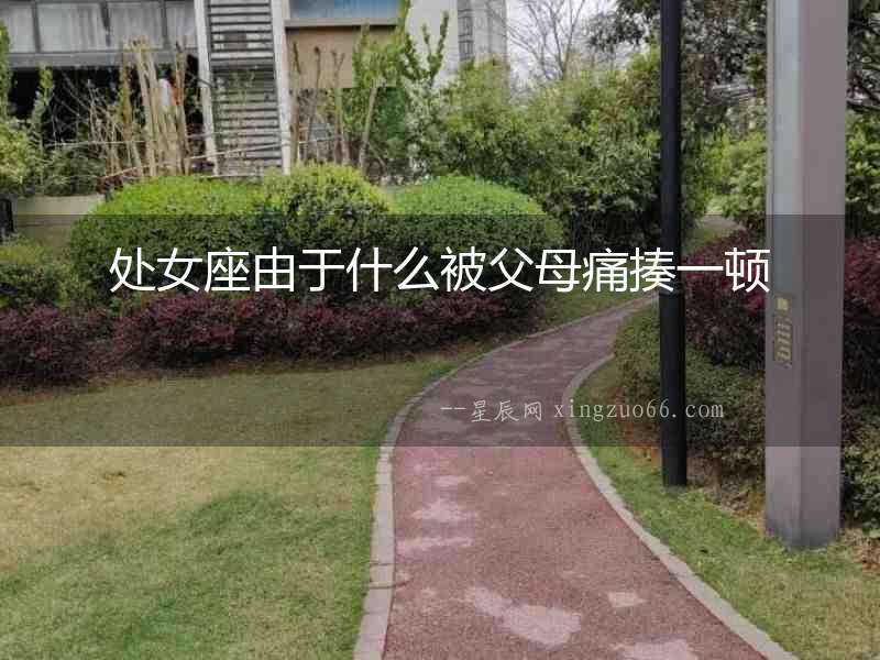 處女座由于什么被父母痛揍一頓