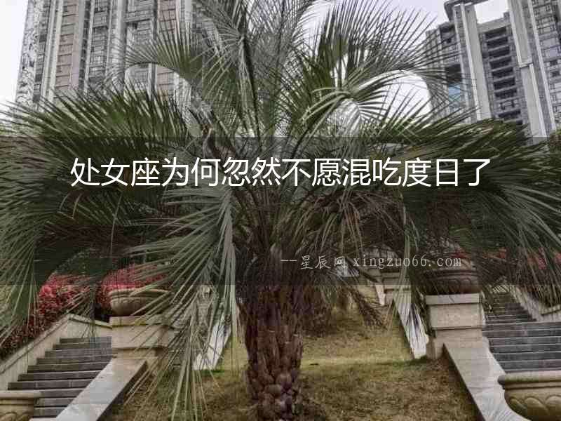 處女座為何忽然不愿混吃度日了