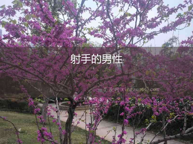 射手的男性