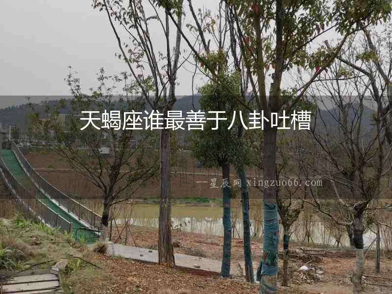 天蝎座誰最善于八卦吐槽
