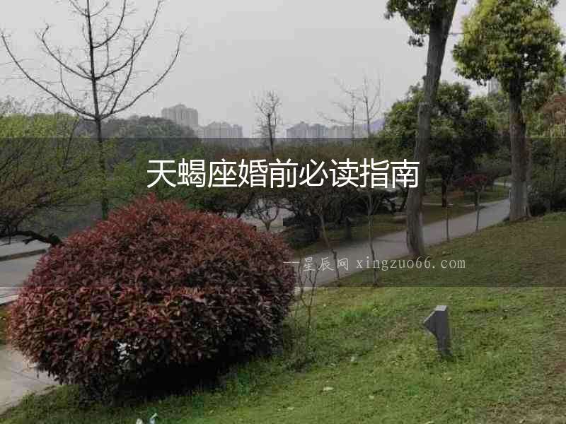 天蝎座婚前必讀指南