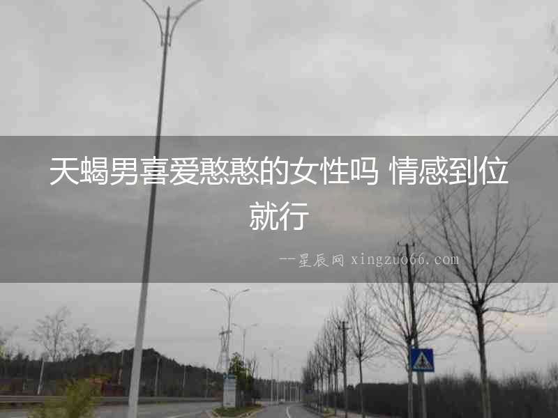 天蝎男喜愛憨憨的女性嗎 情感到位就行
