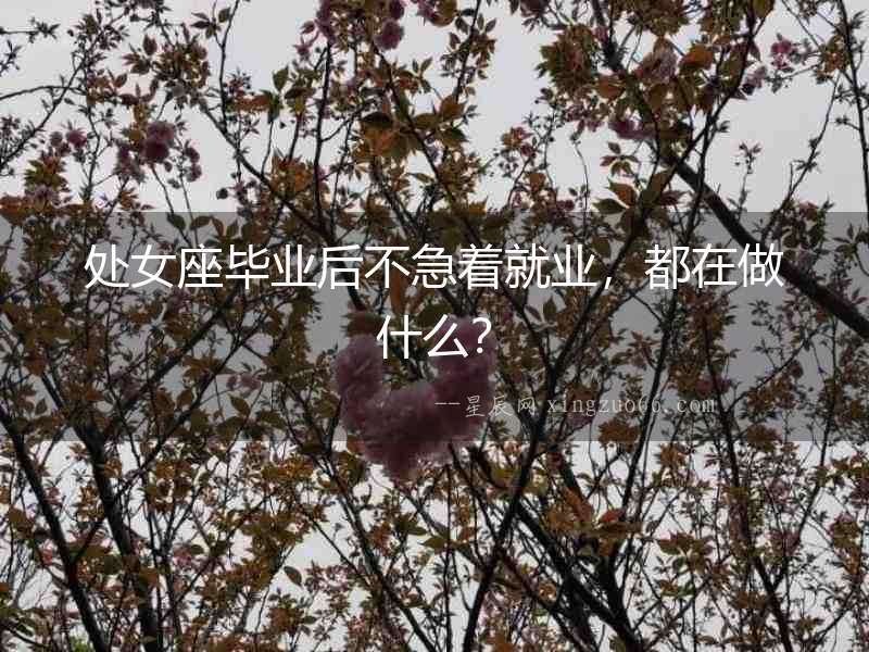 處女座畢業后不急著就業，都在做什么？