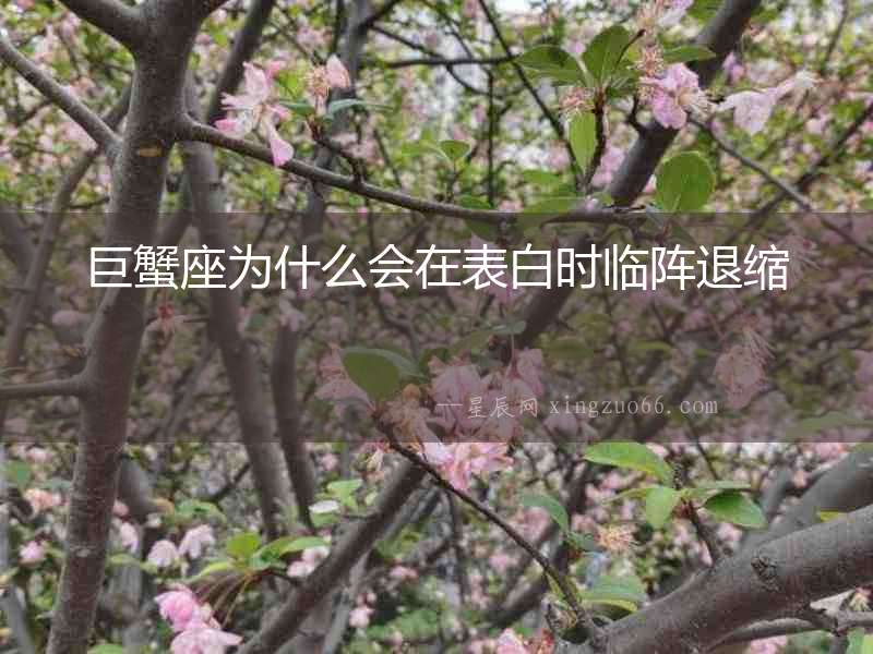 巨蟹座為什么會在表白時臨陣退縮
