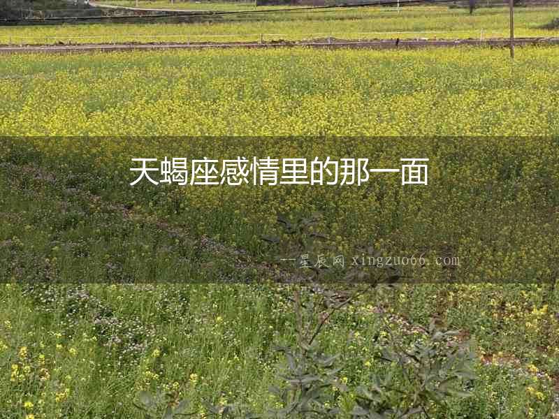 天蝎座感情里的那一面