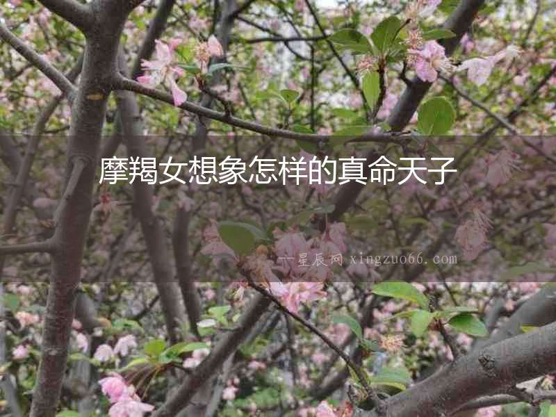 摩羯女想象怎樣的真命天子
