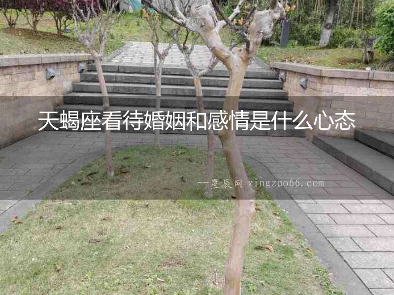 天蝎座看待婚姻和感情是什么心態(tài)