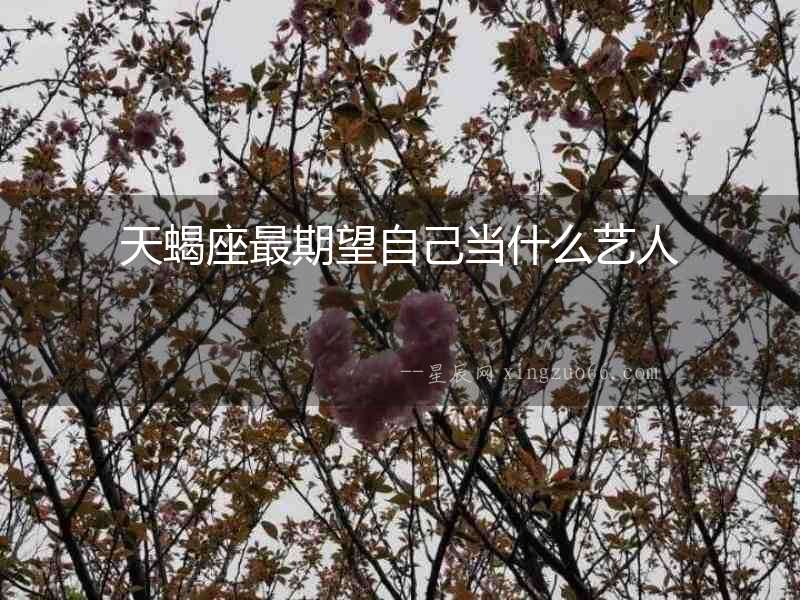 天蝎座最期望自己當什么藝人