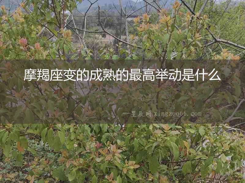 摩羯座變的成熟的最高舉動(dòng)是什么
