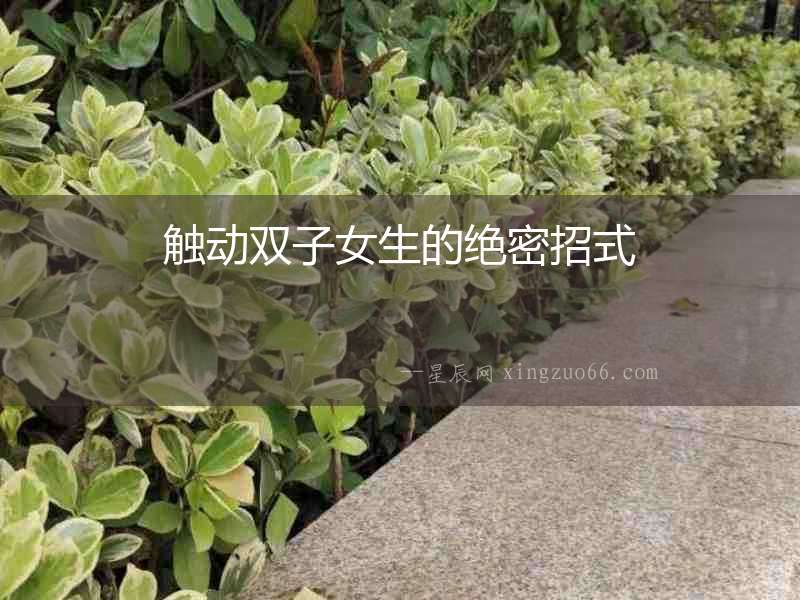 觸動雙子女生的絕密招式