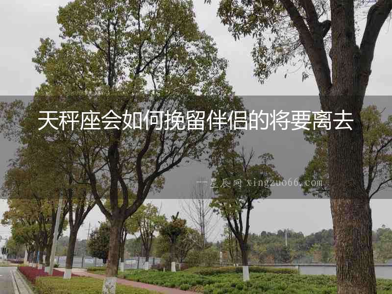 天秤座會如何挽留伴侶的將要離去