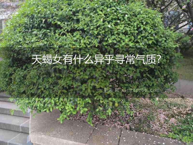 天蝎女有什么異乎尋常氣質？