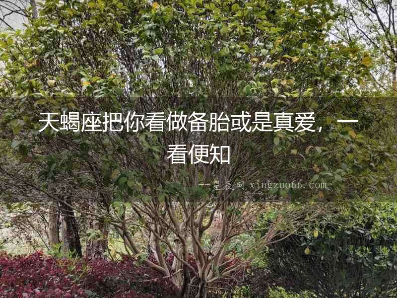 天蝎座把你看做備胎或是真愛，一看便知