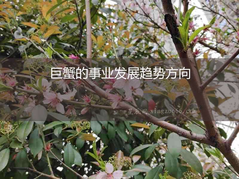 巨蟹的事業(yè)發(fā)展趨勢方向