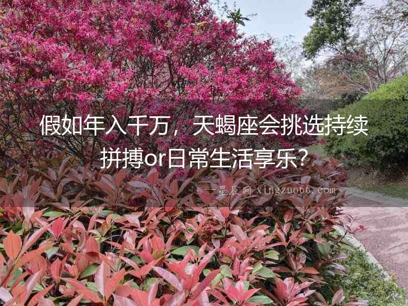 假如年入千萬，天蝎座會挑選持續拼搏or日常生活享樂？