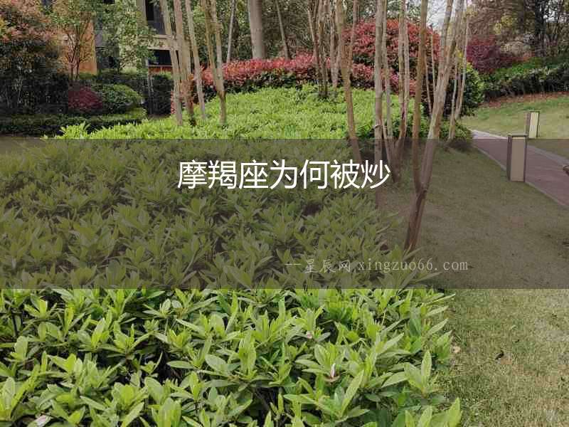 摩羯座為何被炒