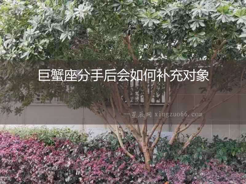 巨蟹座分手后會(huì)如何補(bǔ)充對(duì)象