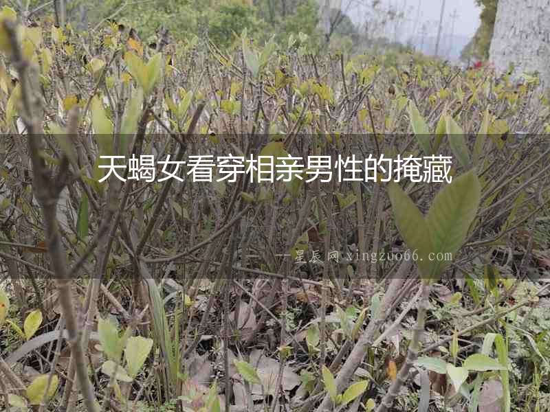 天蝎女看穿相親男性的掩藏