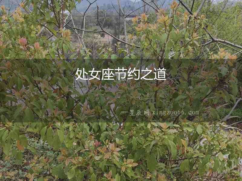 處女座節約之道