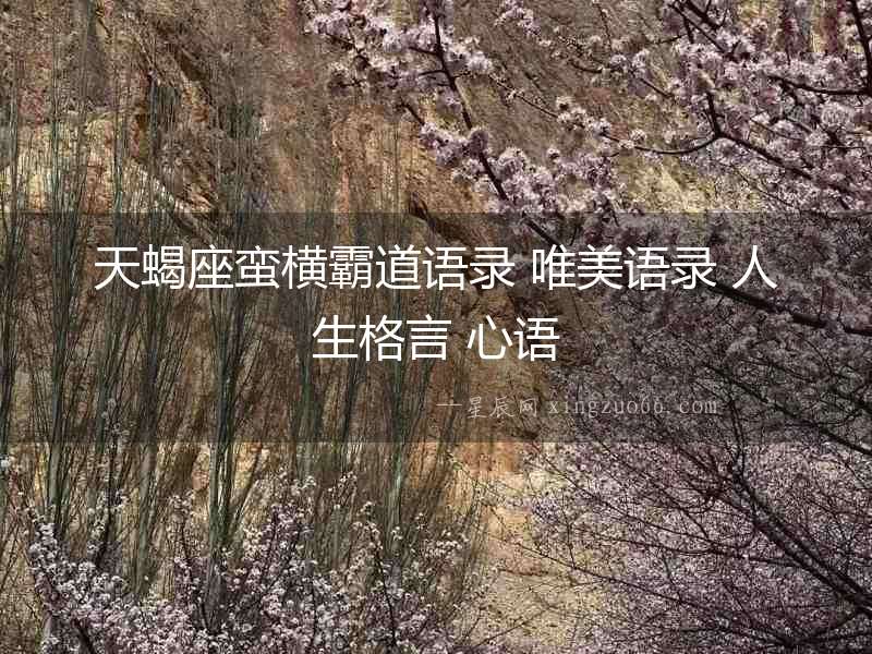 天蝎座蠻橫霸道語錄 唯美語錄 人生格言 心語