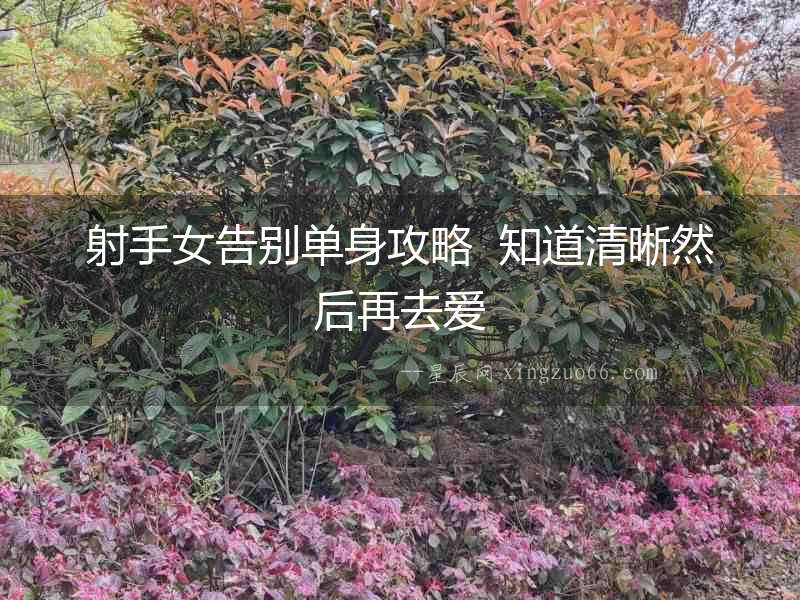 射手女告別單身攻略  知道清晰然后再去愛