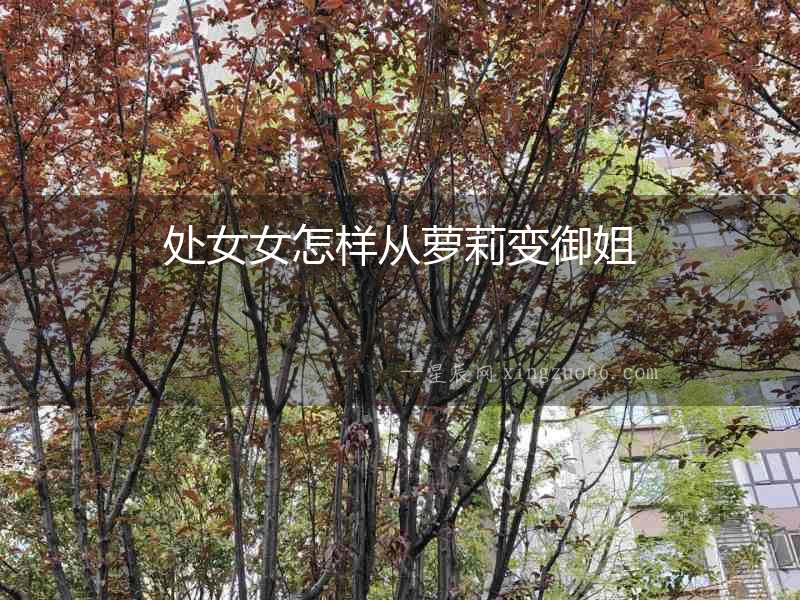 處女女怎樣從蘿莉變御姐