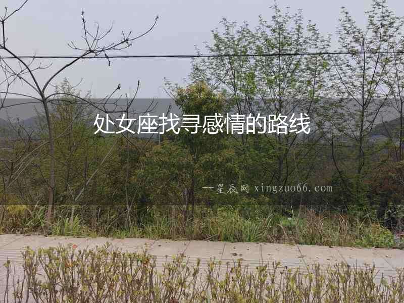 處女座找尋感情的路線