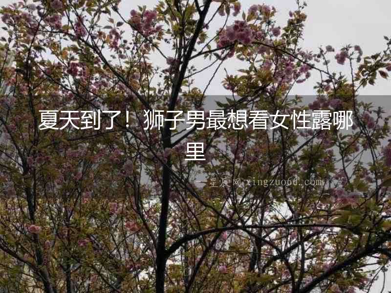 夏天到了！獅子男最想看女性露哪里