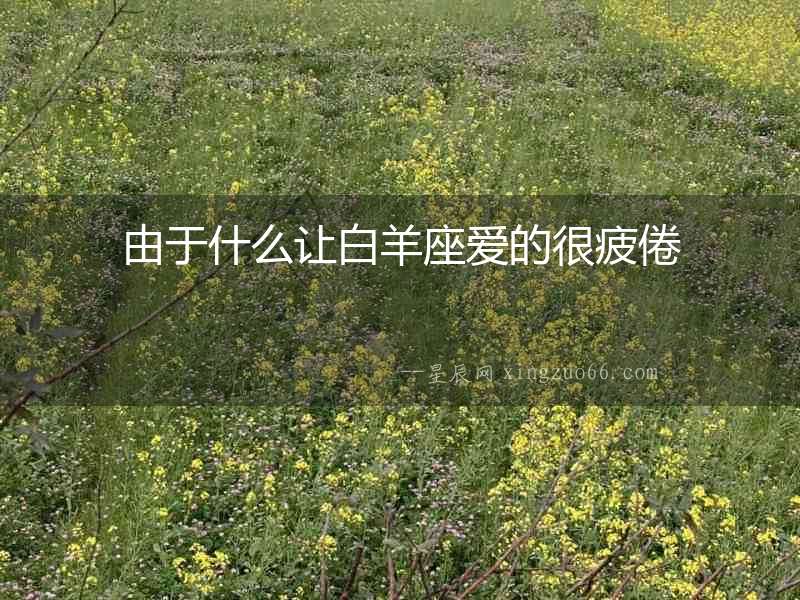 由于什么讓白羊座愛的很疲倦