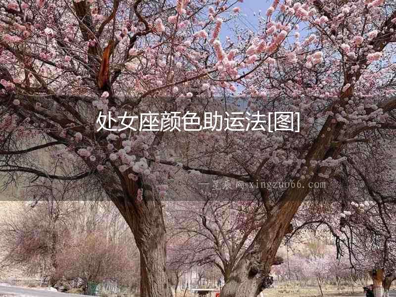 處女座顏色助運法[圖]