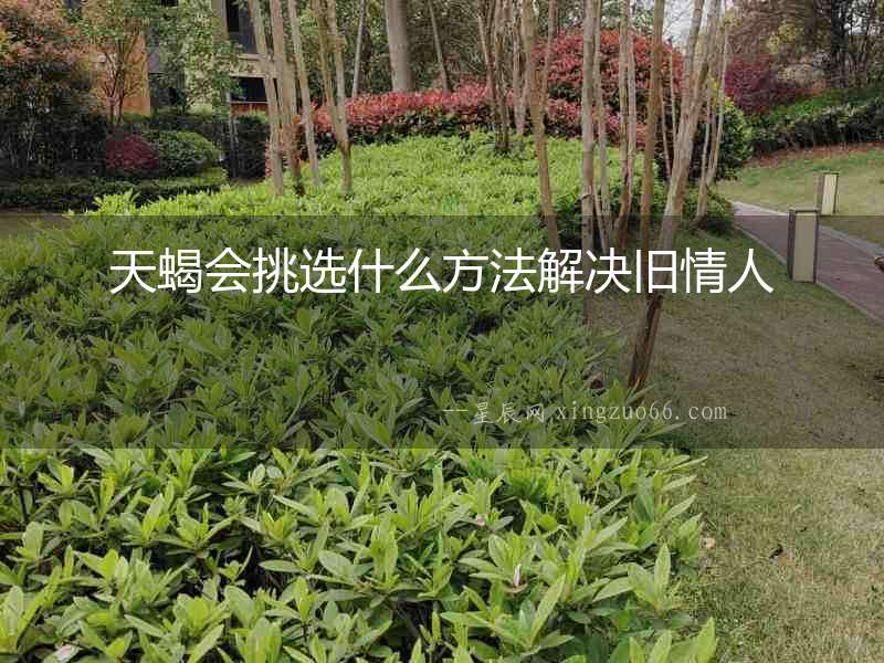 天蝎會挑選什么方法解決舊情人