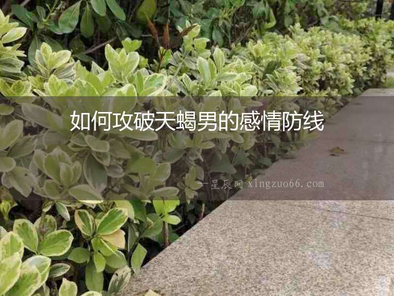 如何攻破天蝎男的感情防線
