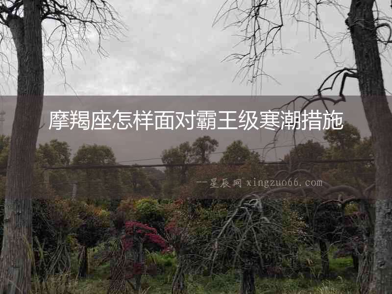 摩羯座怎樣面對霸王級寒潮措施