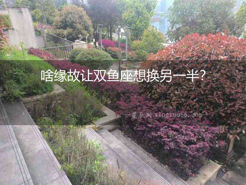 啥緣故讓雙魚座想換另一半？