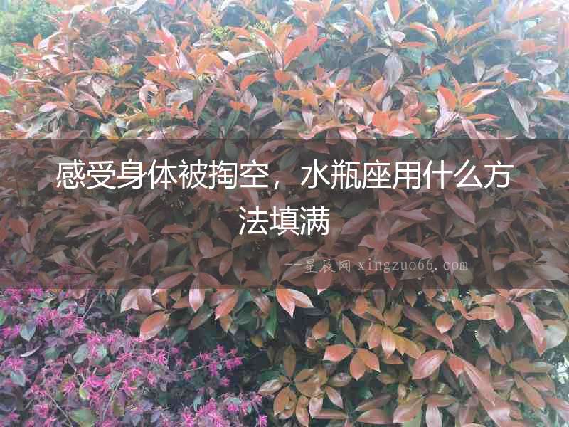 感受身體被掏空，水瓶座用什么方法填滿